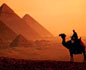 Egyptian Euphoria