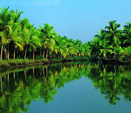 Kerala - Fly and Stay
