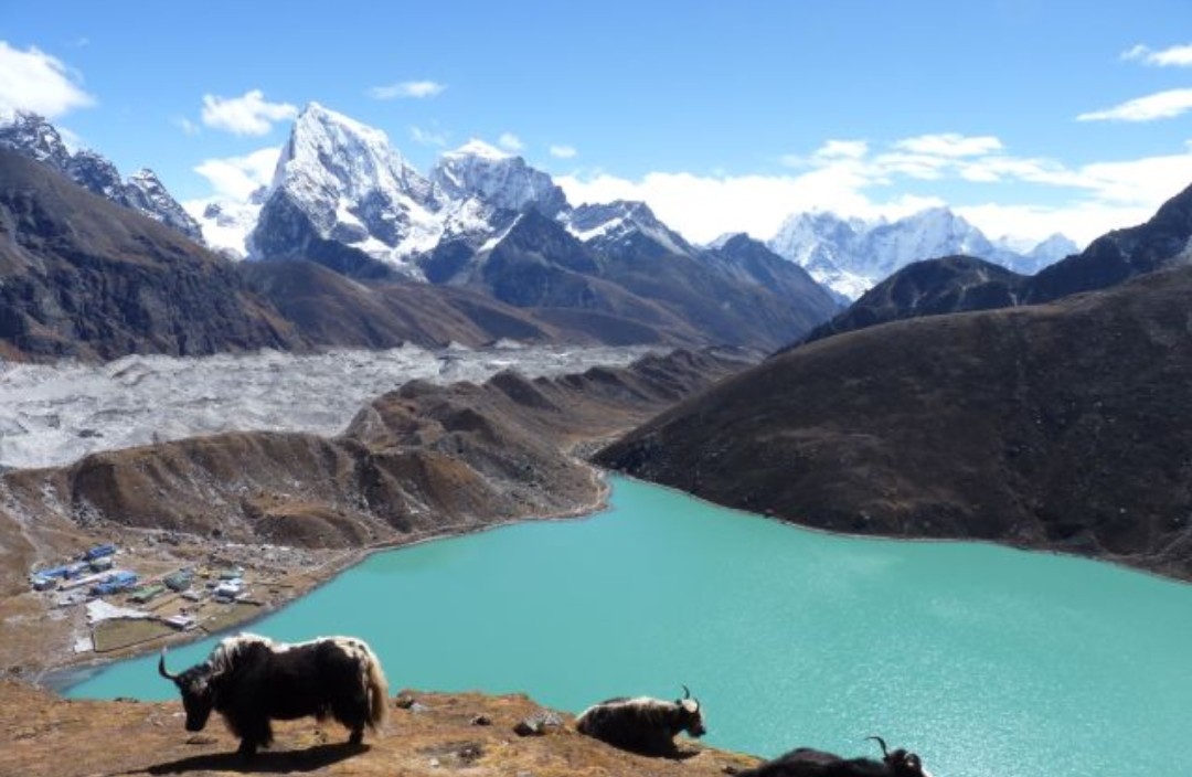 NEPAL MAGIC