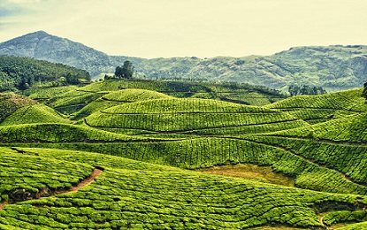 ENCHANTING KERALA