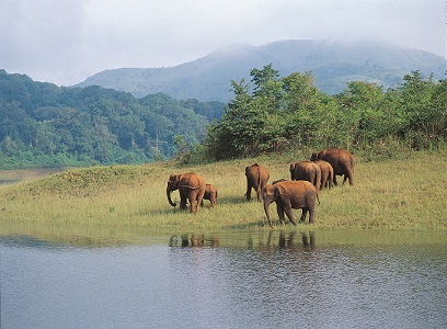 ENCHANTING KERALA