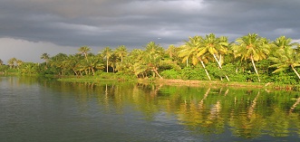 Kerala Cochin Munnar Alleppey And Kovalam