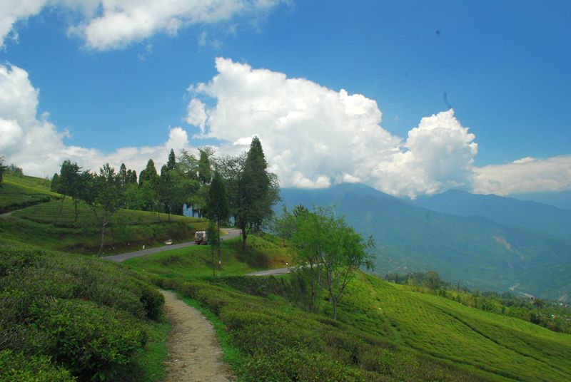 North East  Gangtok Kalimpong And Darjeeling