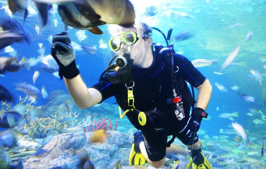 Underwater World of Pattaya