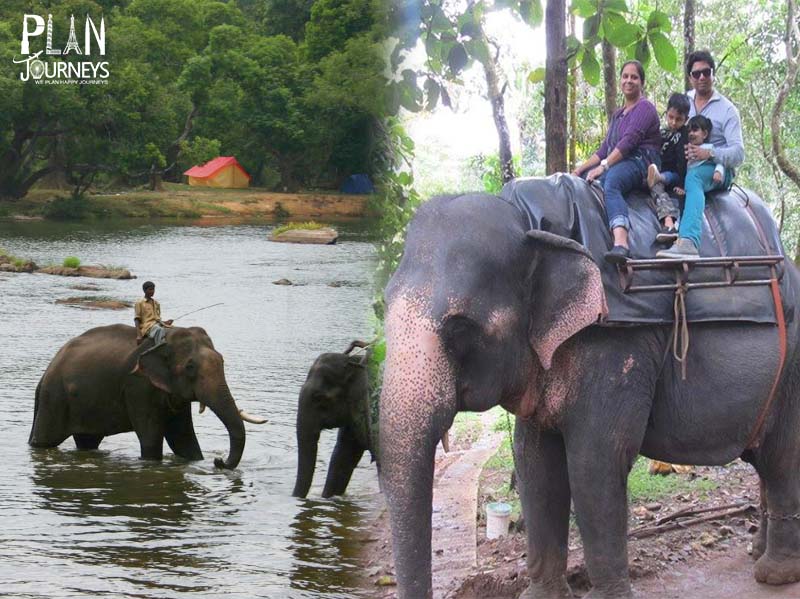 Ooty and Coorg Tour package